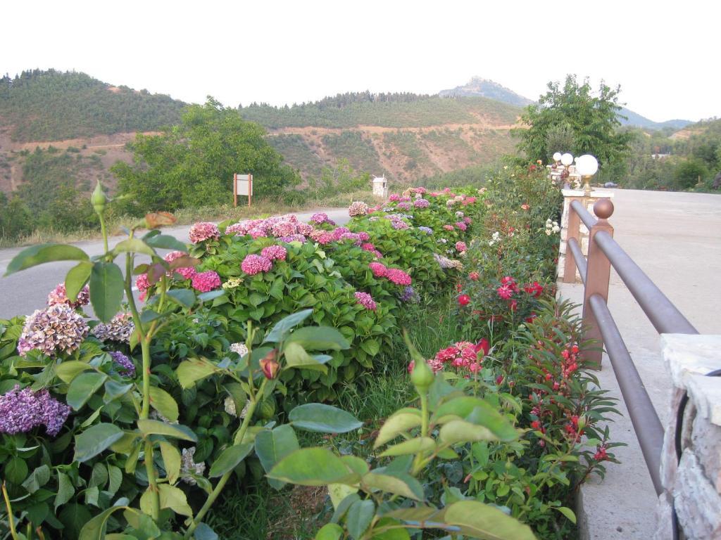 Guesthouse Moucha Ruang foto